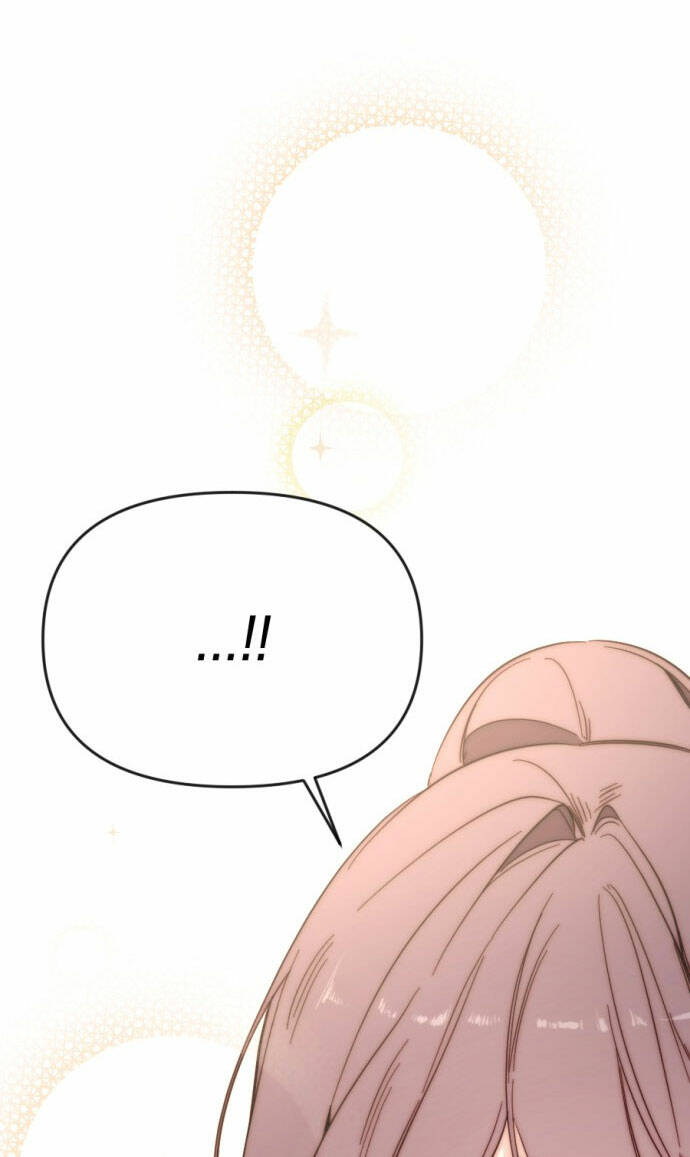 page_19.jpg