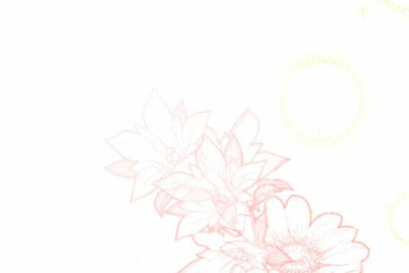 page_46.jpg