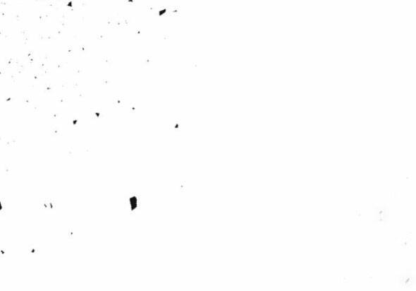 page_15.jpg
