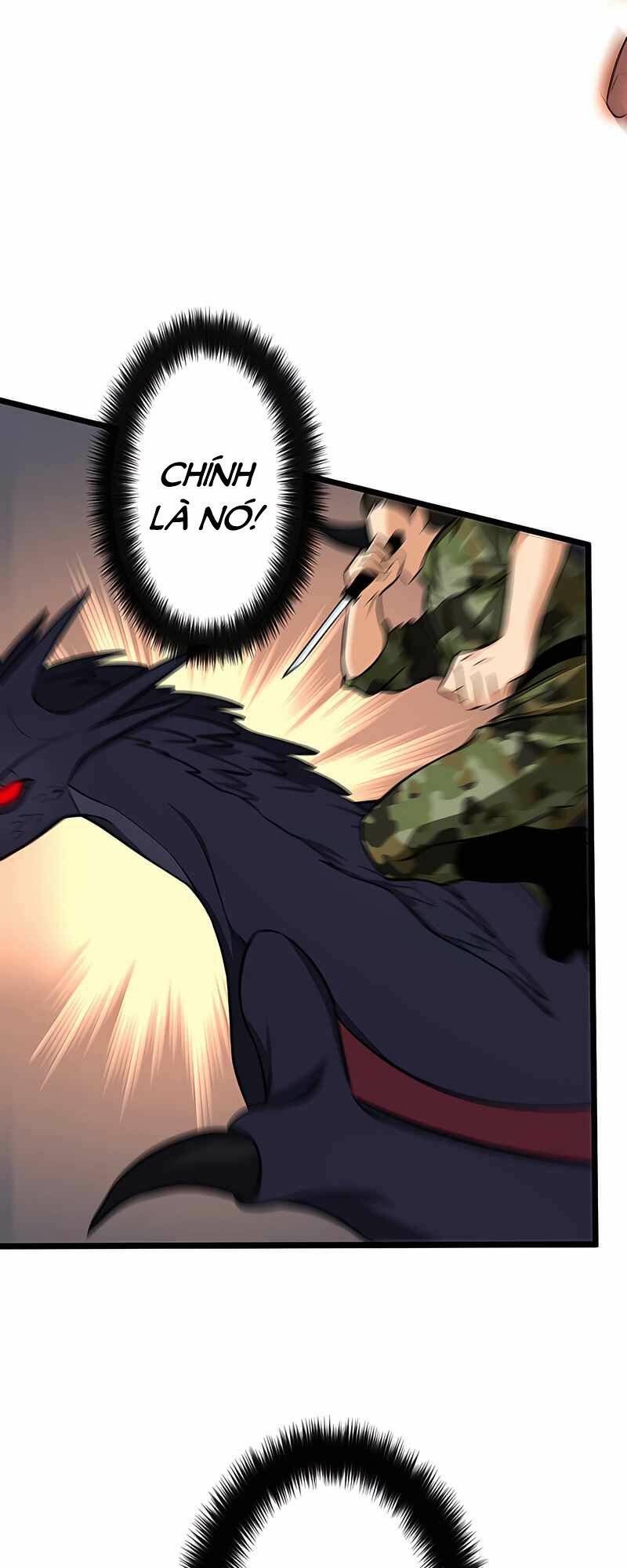 page_55.jpg