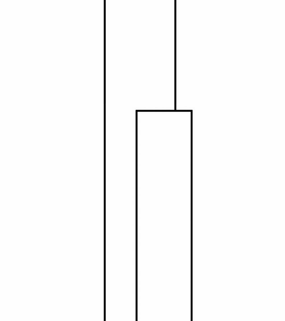 page_41.jpg