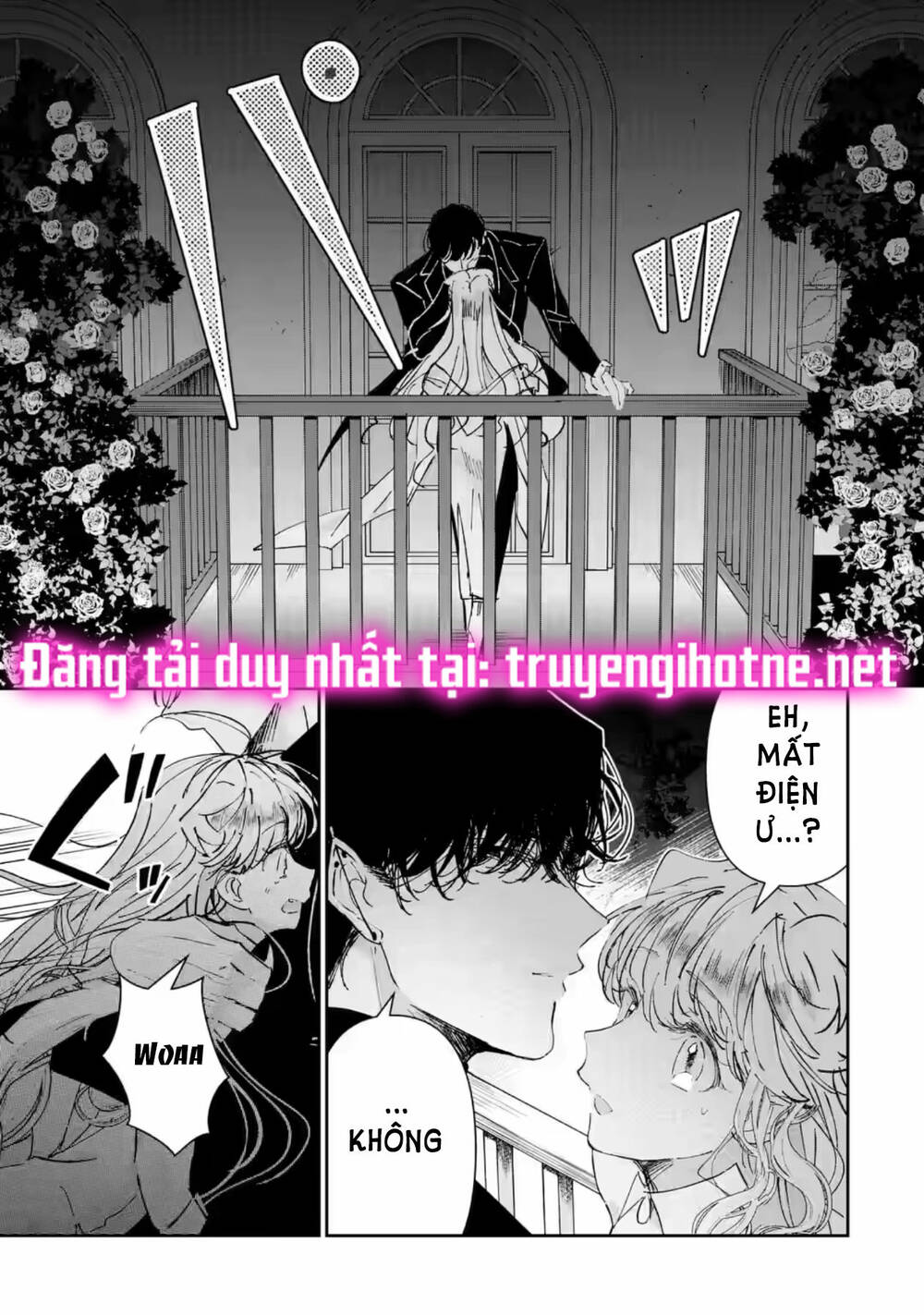page_19.jpg