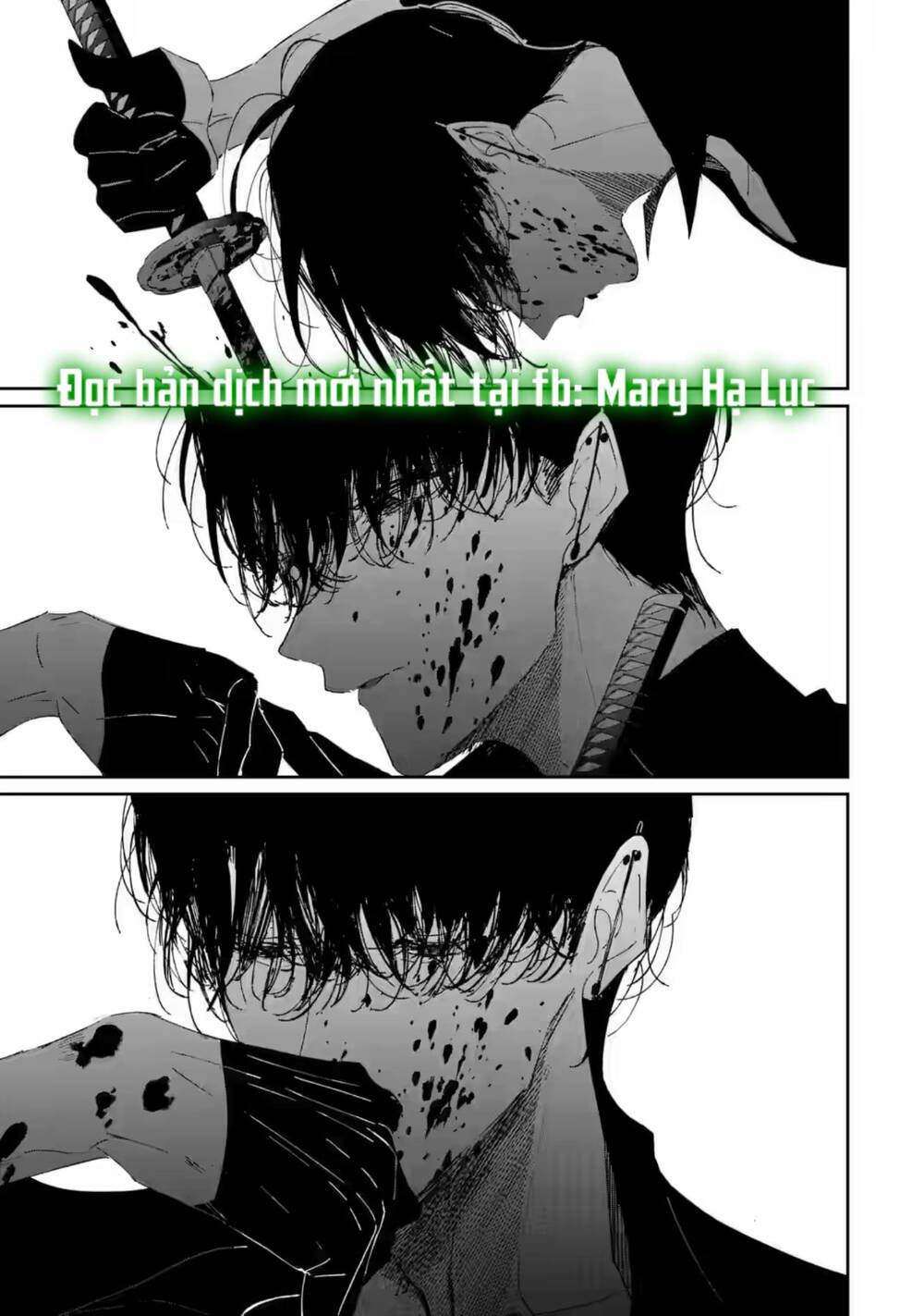 page_25.jpg