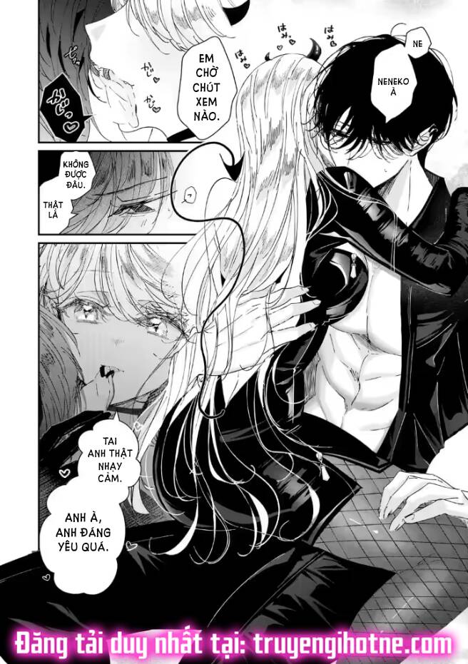 page_17.jpg