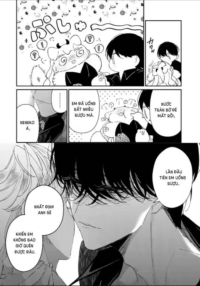 page_19.jpg