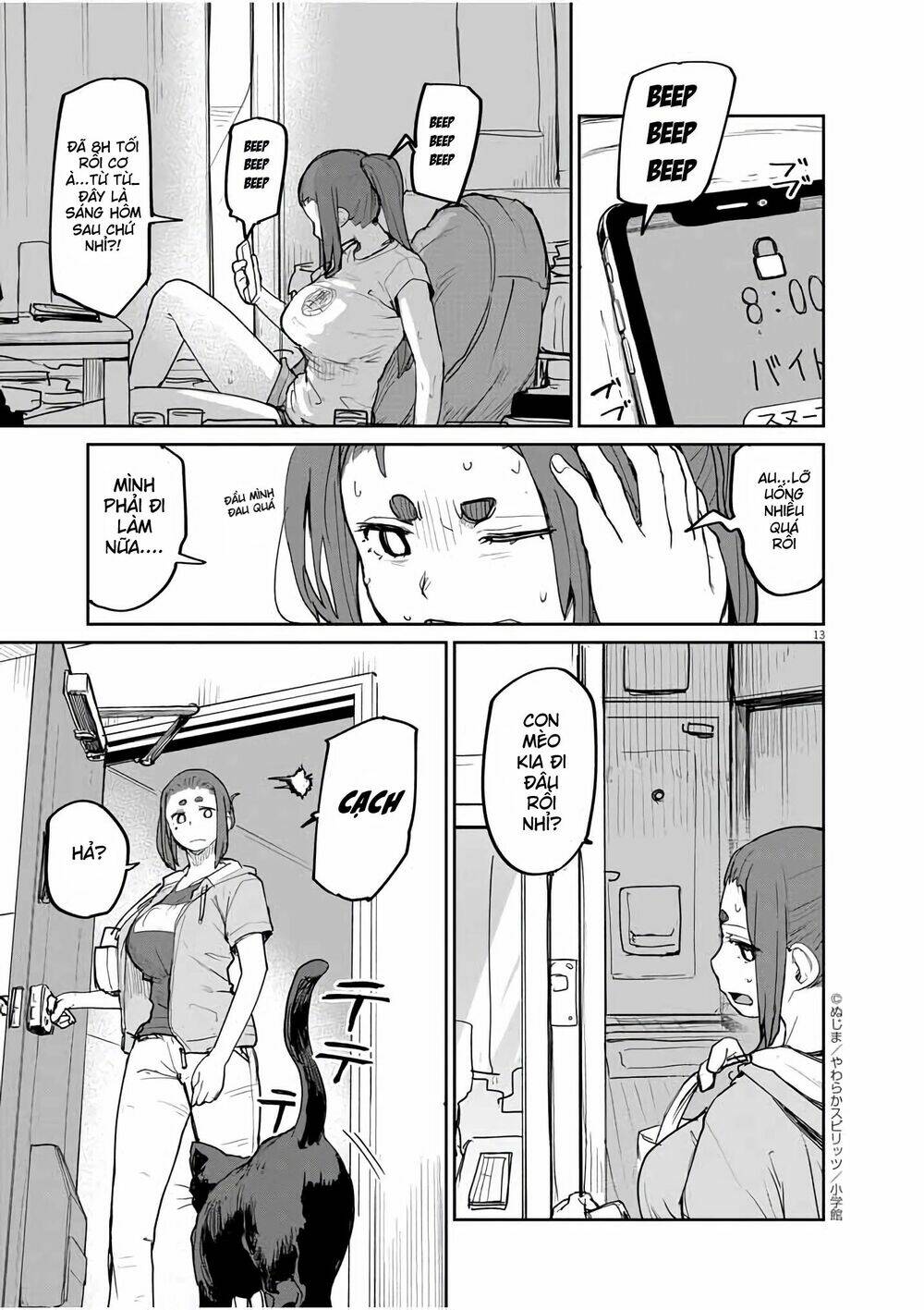 page_13.jpg
