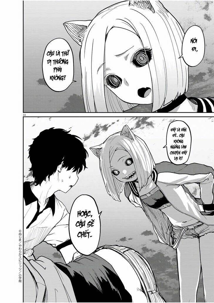 page_13.jpg