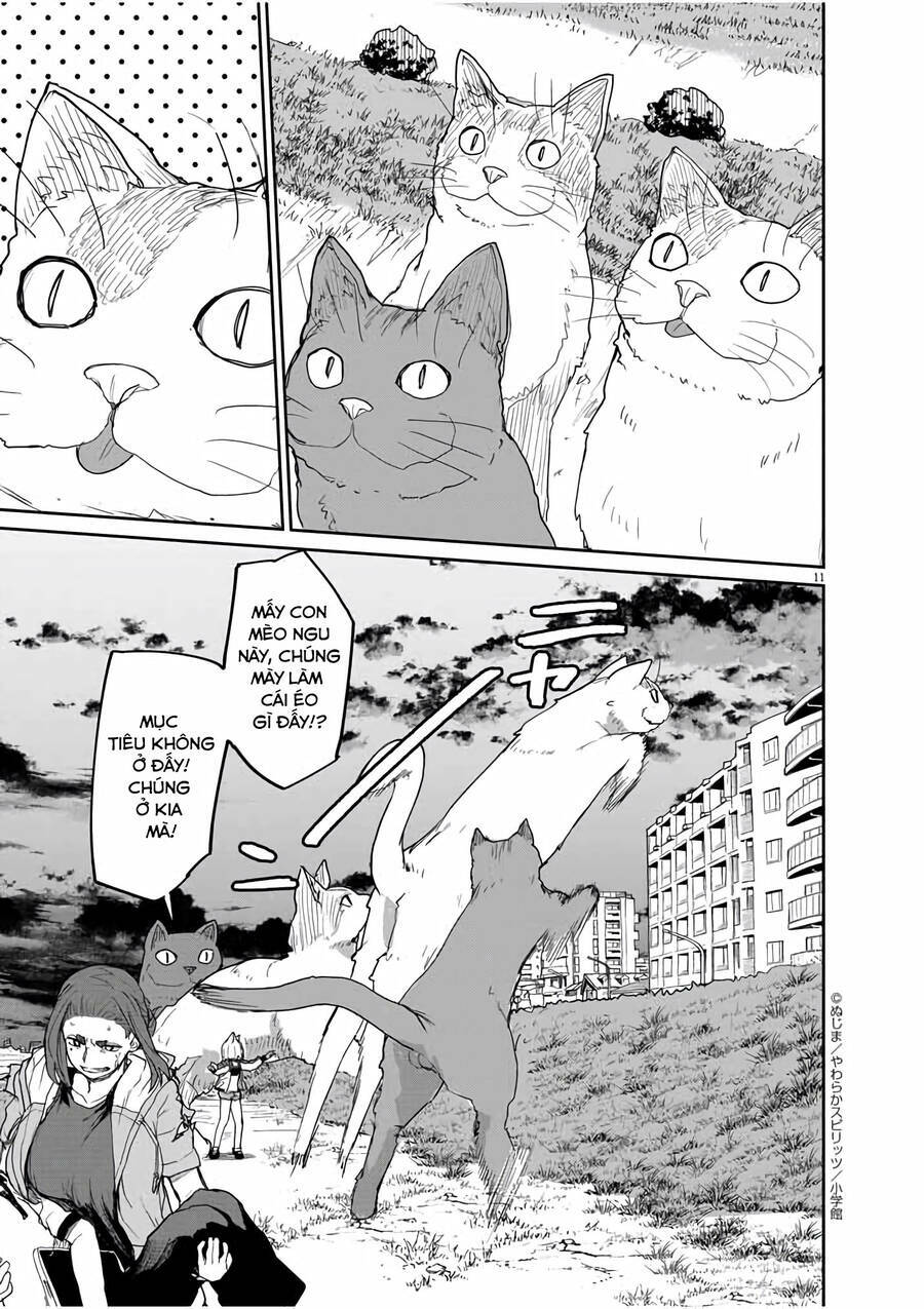 page_11.jpg