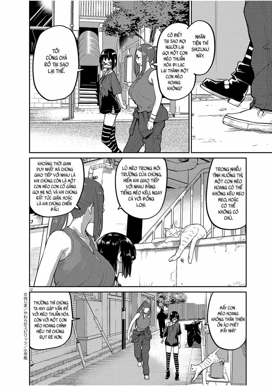 page_12.jpg