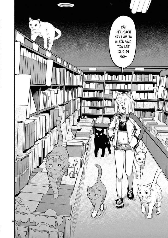 page_9.jpg
