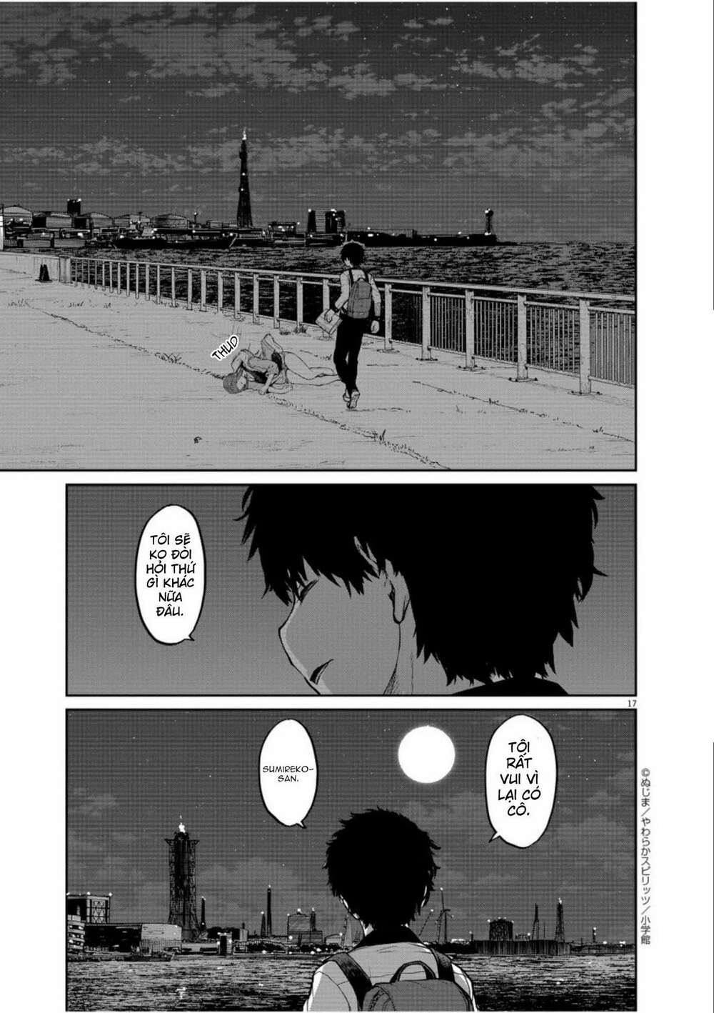 page_17.jpg