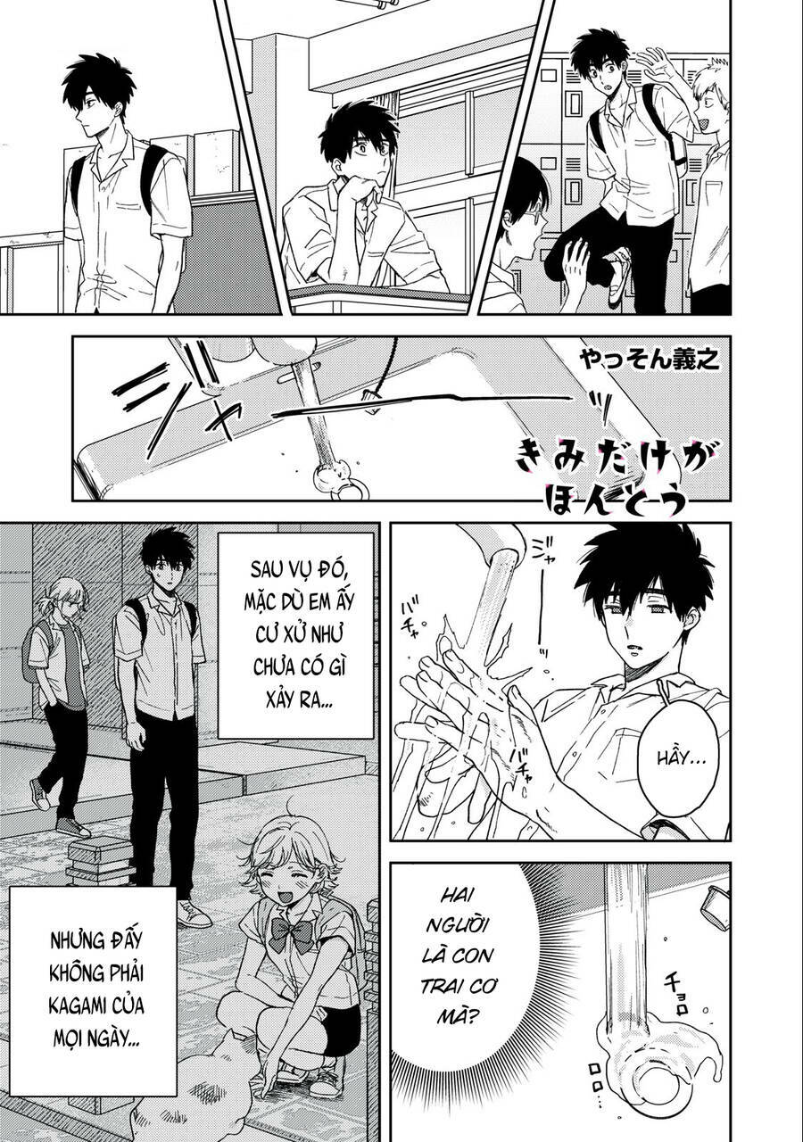 page_17.jpg