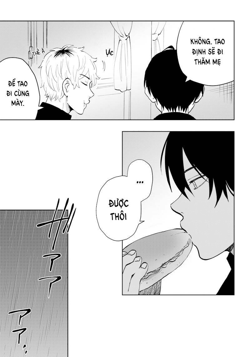 page_21.jpg