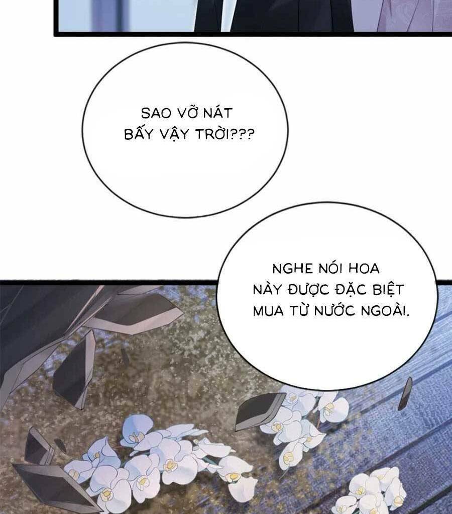 page_60.jpg