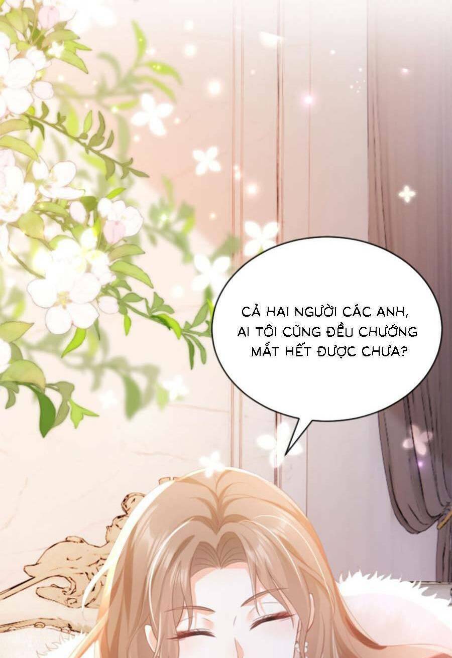 page_19.jpg