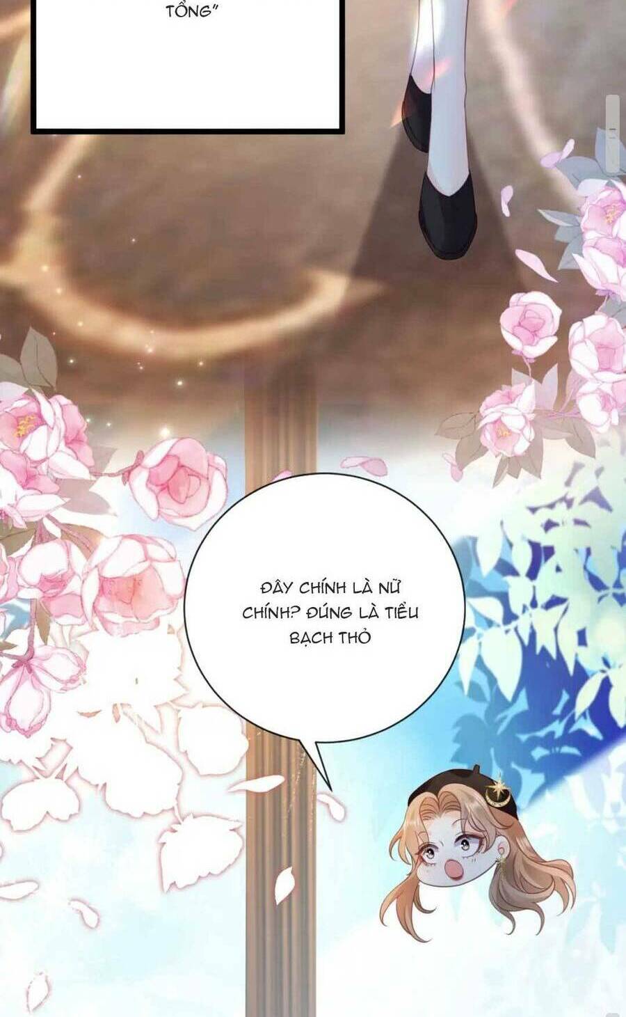 page_29.jpg