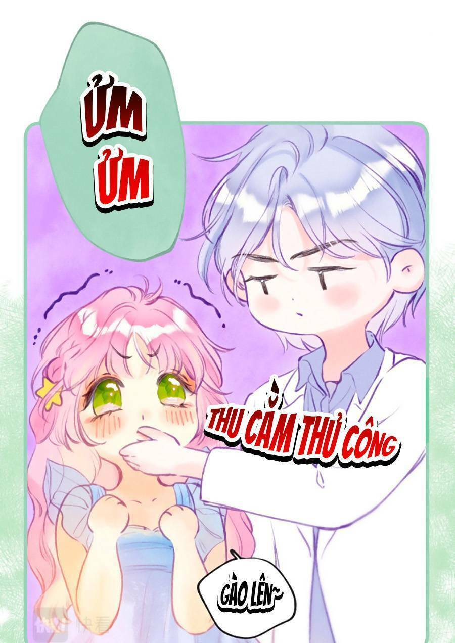 page_16.jpg