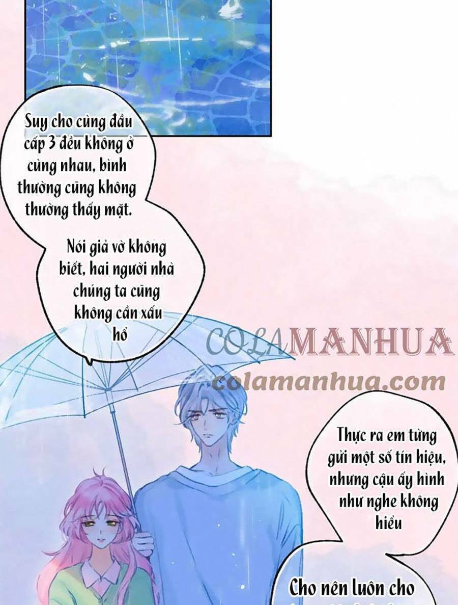 page_29.jpg
