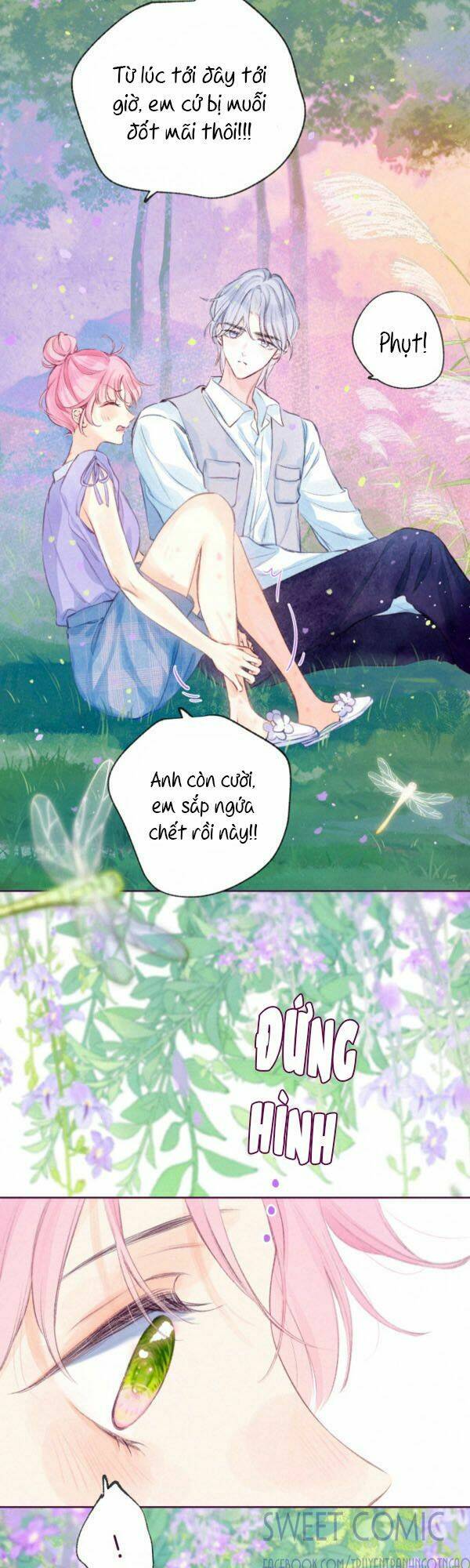 page_21.jpg