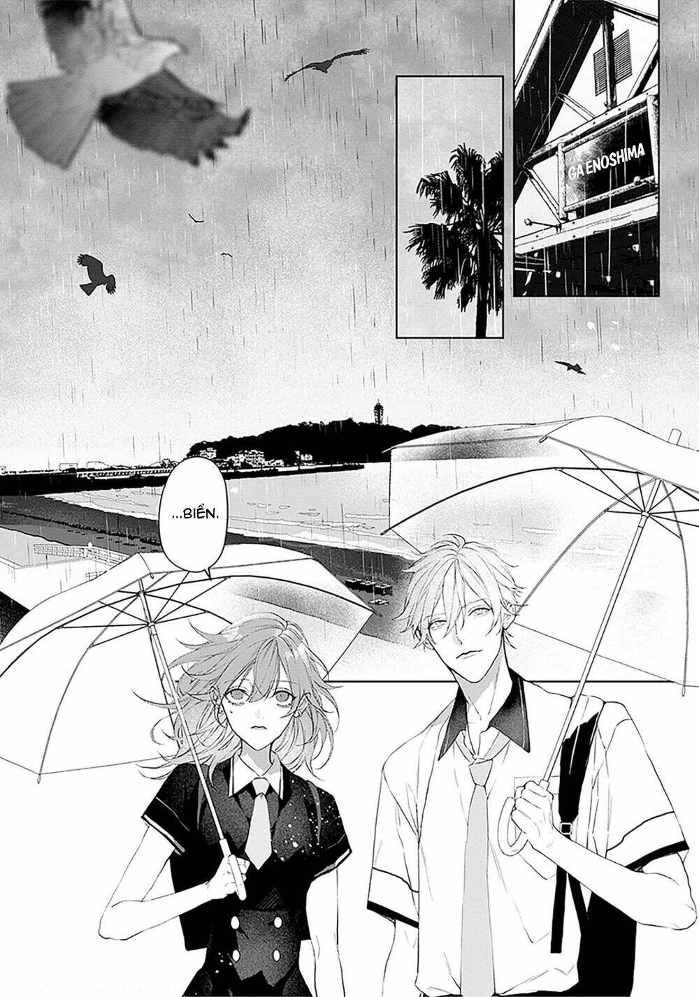 page_14.jpg