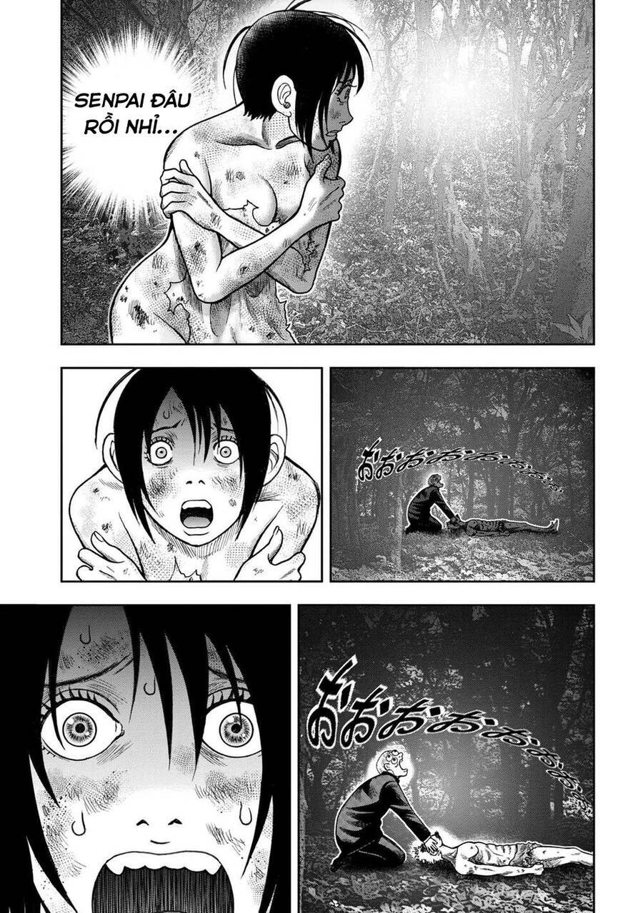 page_15.jpg