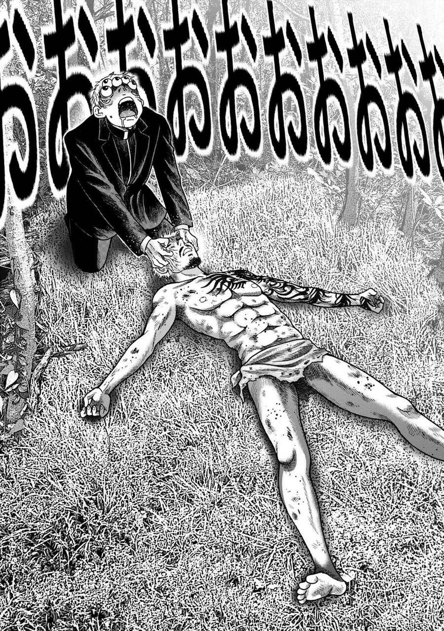 page_17.jpg