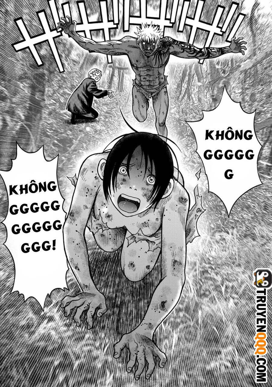page_19.jpg