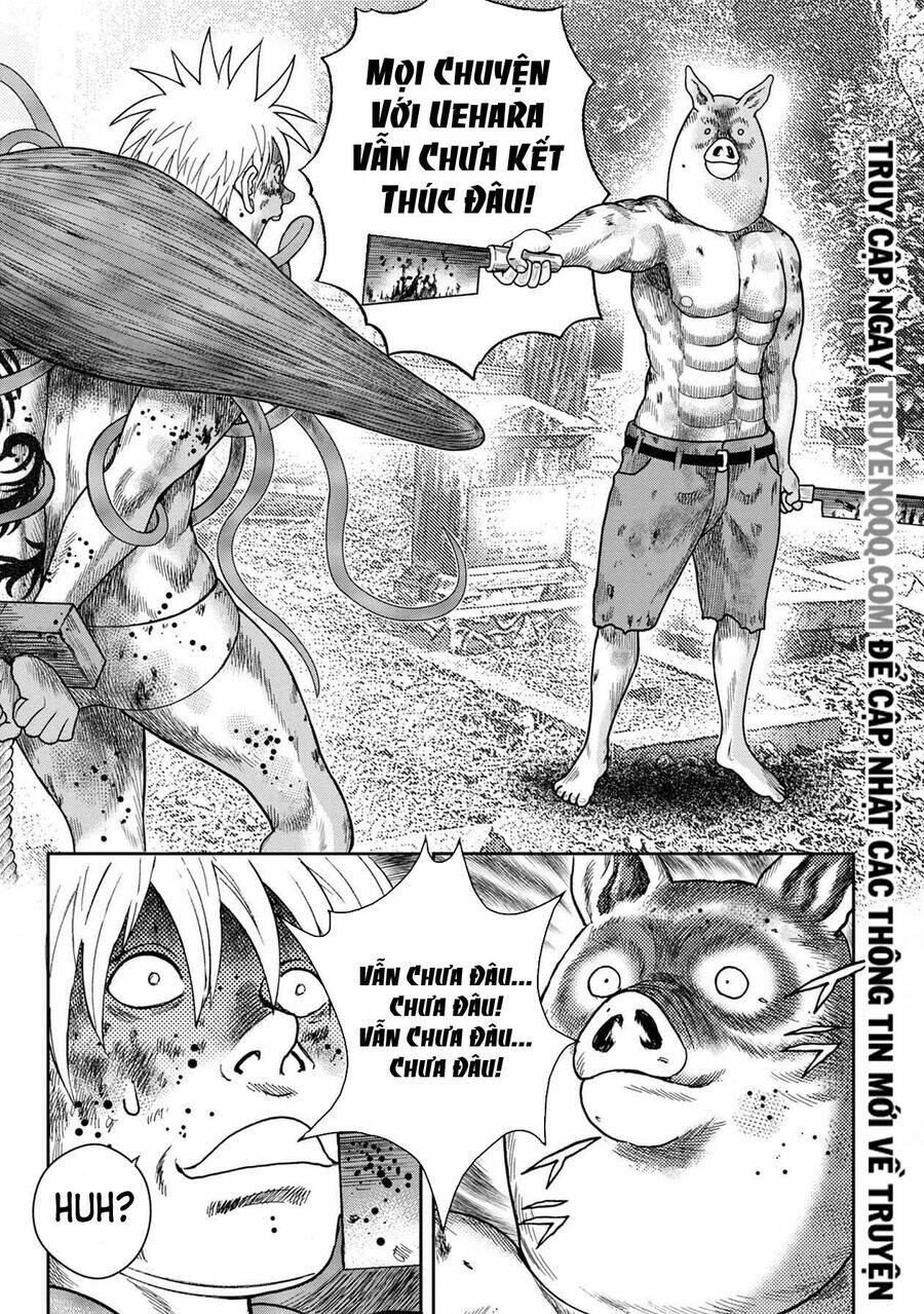 page_16.jpg