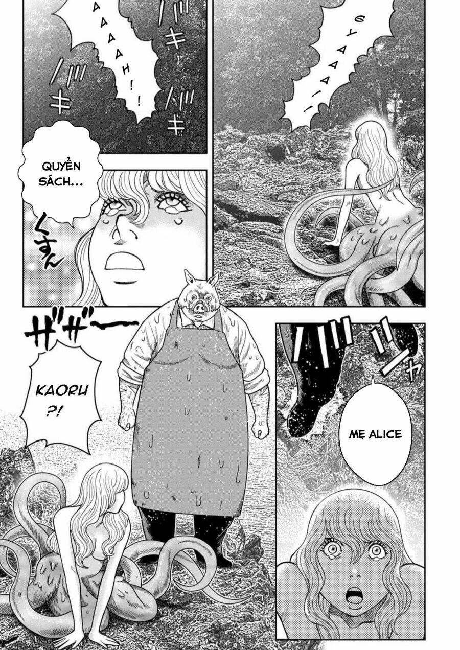 page_13.jpg