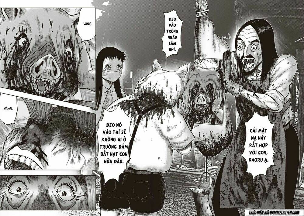 page_24.jpg