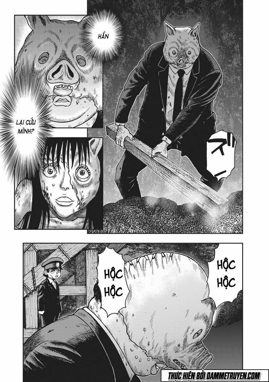 page_19.jpg