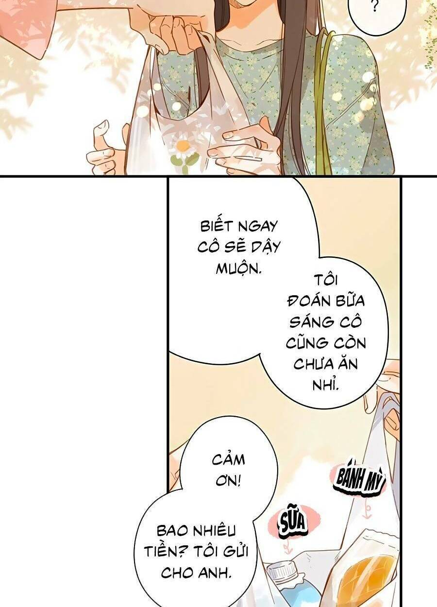 page_19.jpg