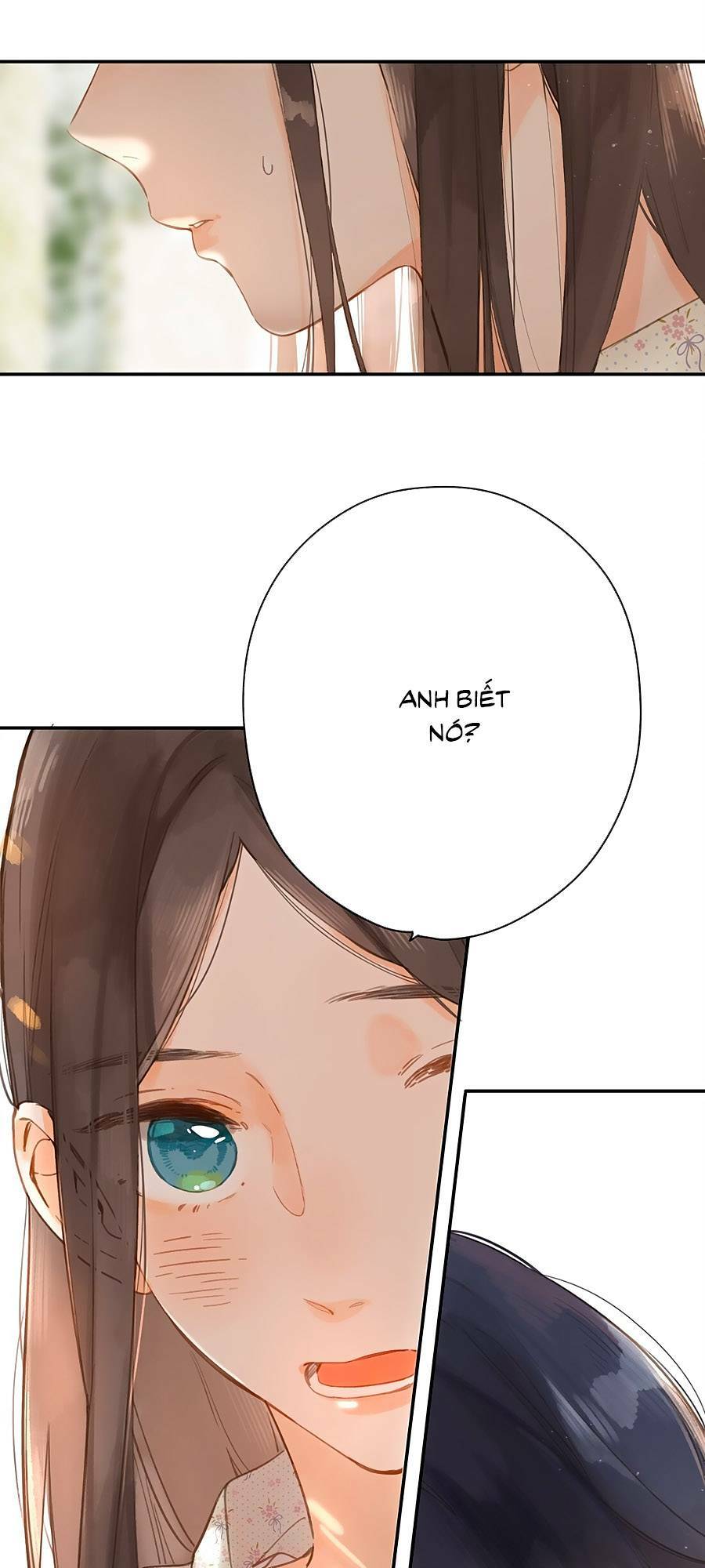 page_25.jpg