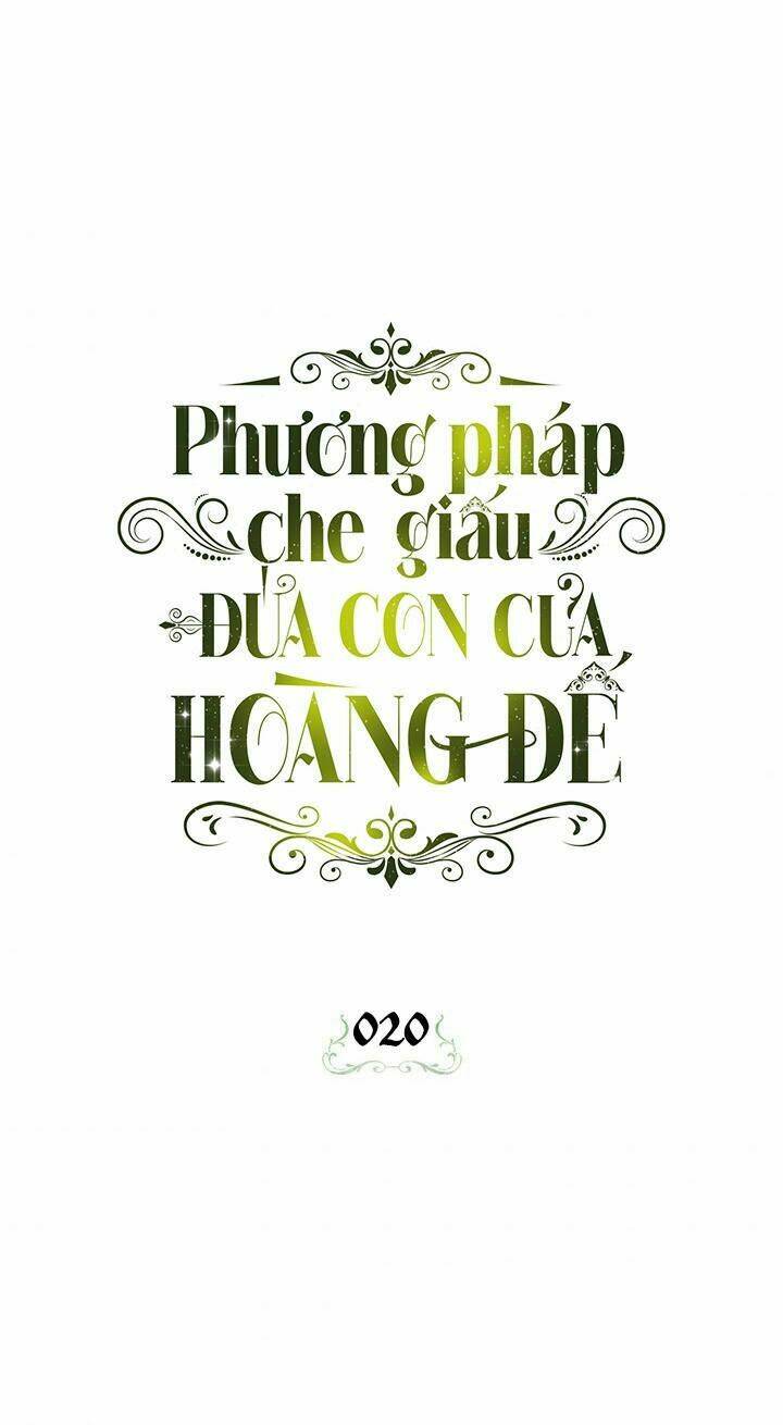 page_24.jpg