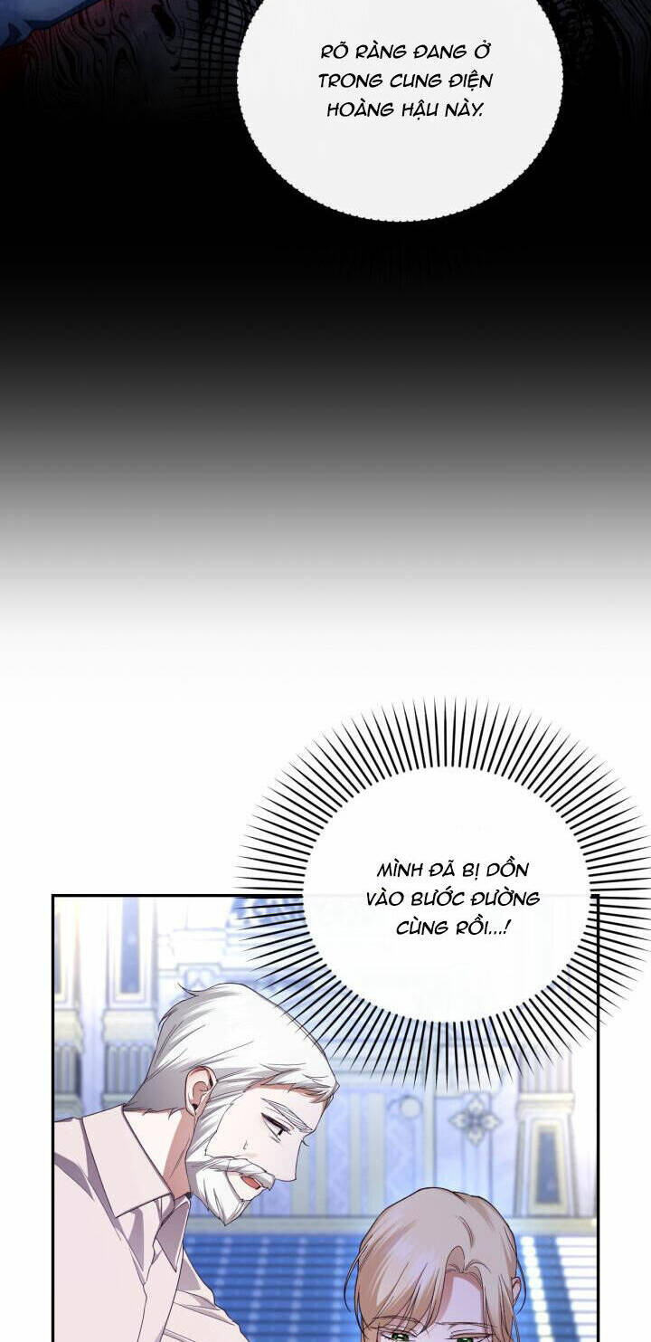 page_28.jpg