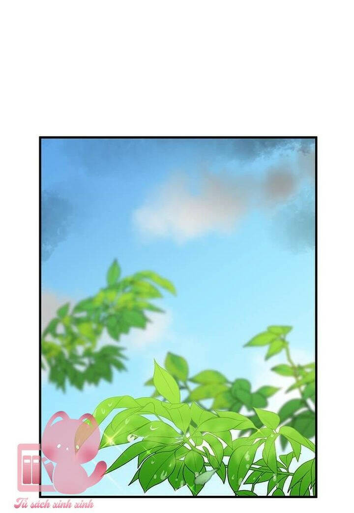 page_28.jpg