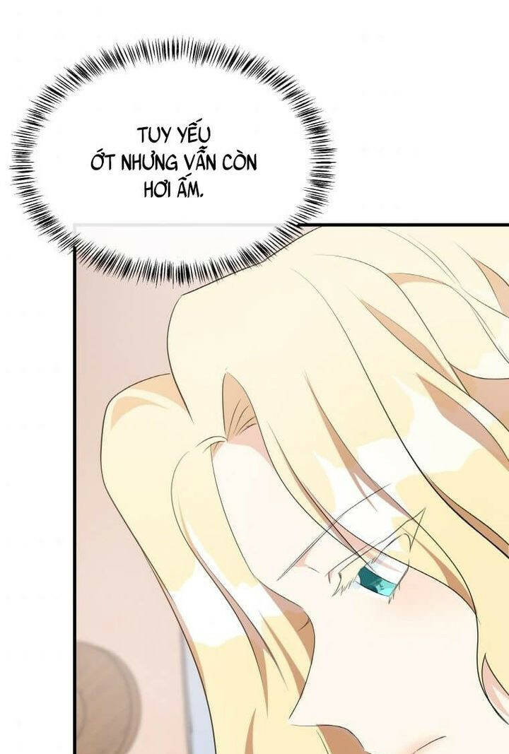 page_29.jpg