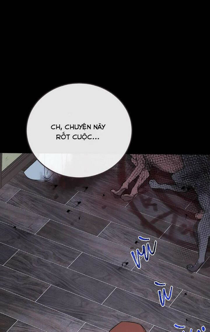 page_44.jpg