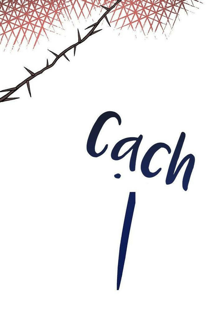 page_26.jpg