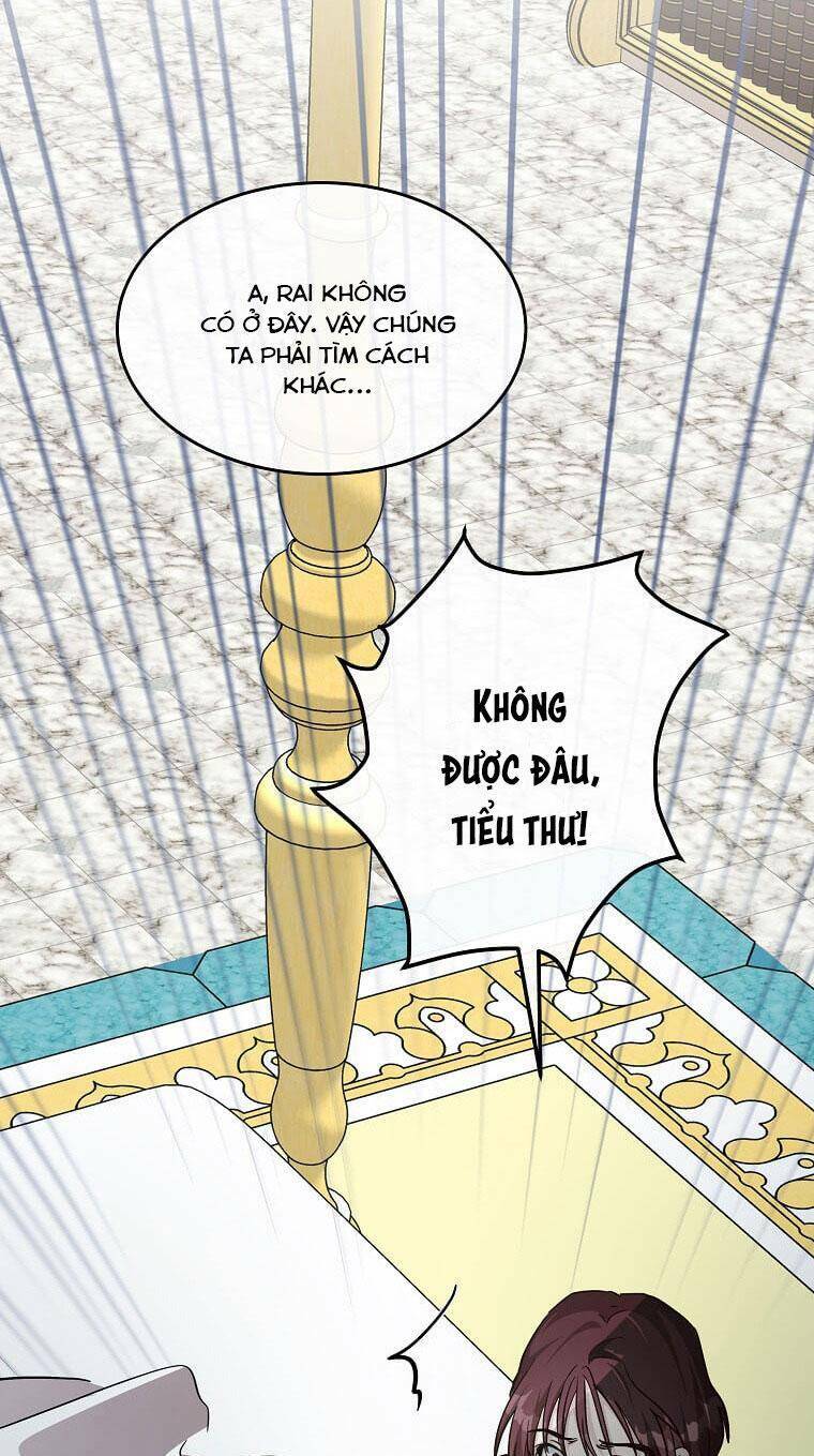 page_17.jpg