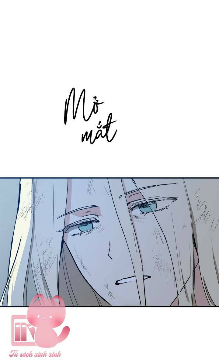 page_31.jpg