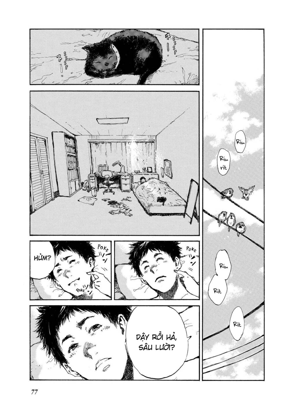 page_16.jpg