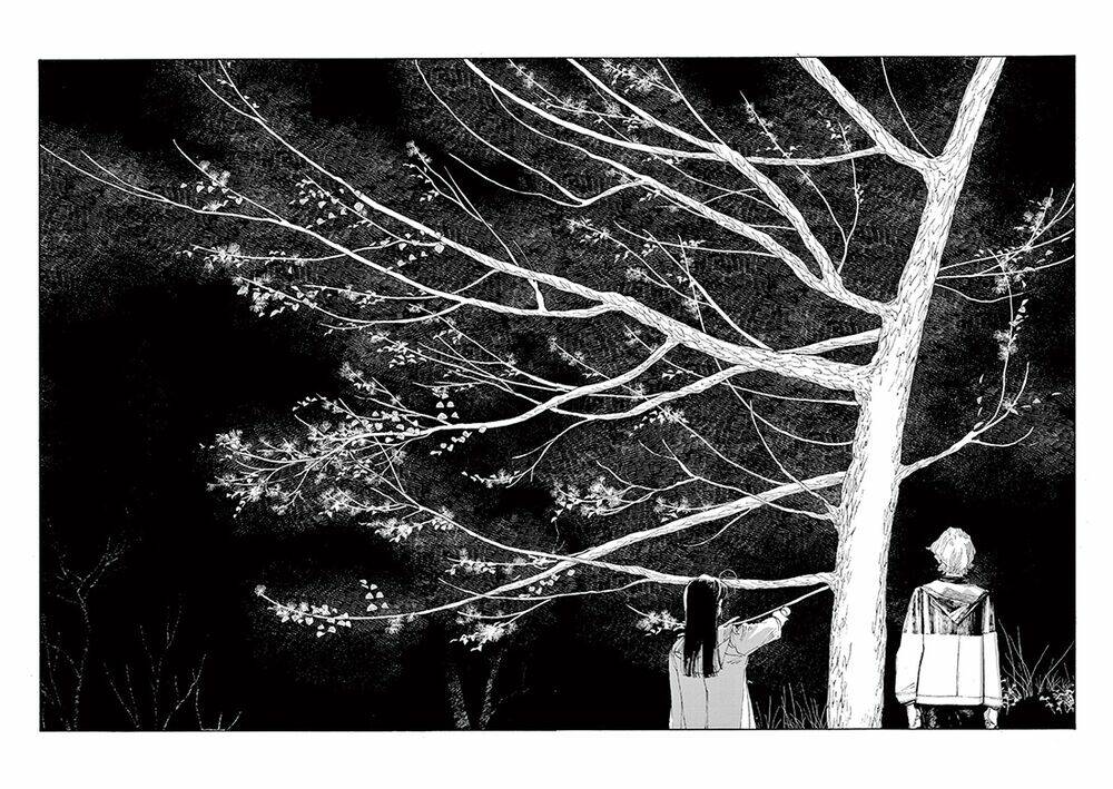 page_12.jpg