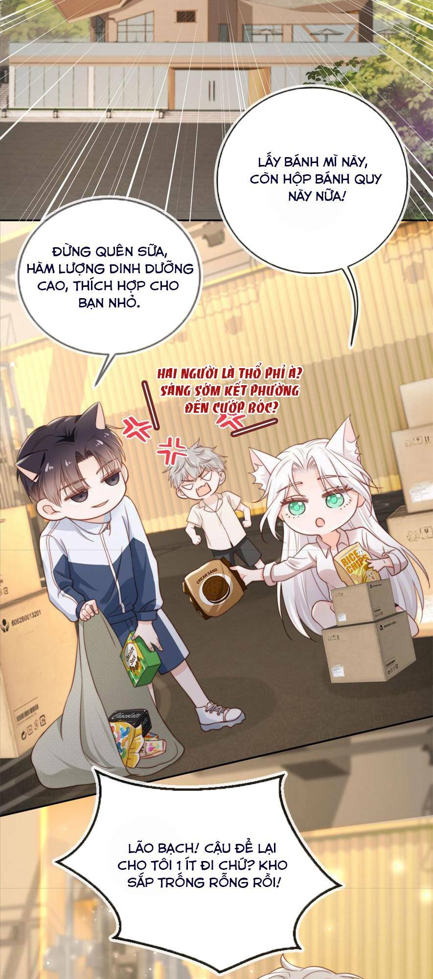 page_23.jpg
