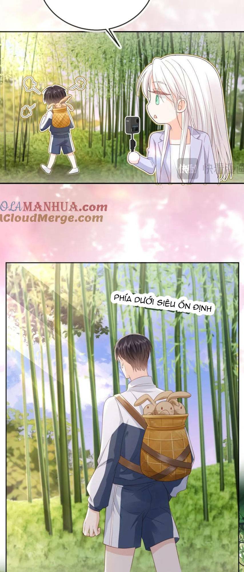 page_19.jpg