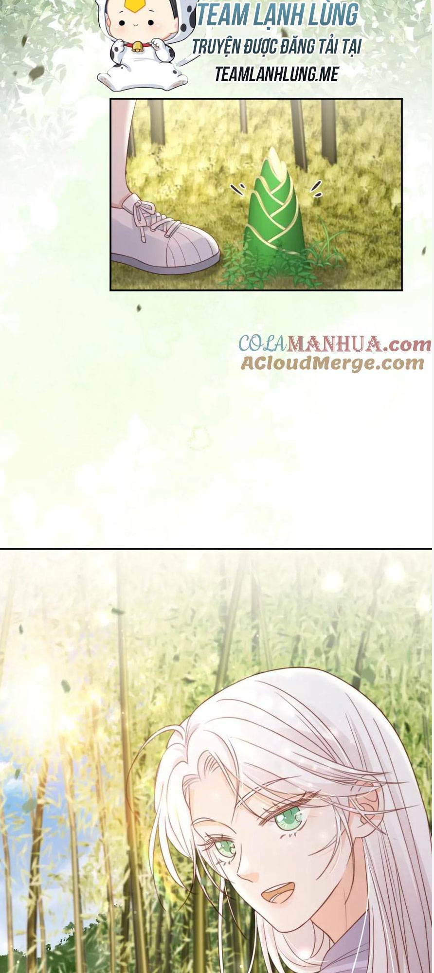 page_8.jpg