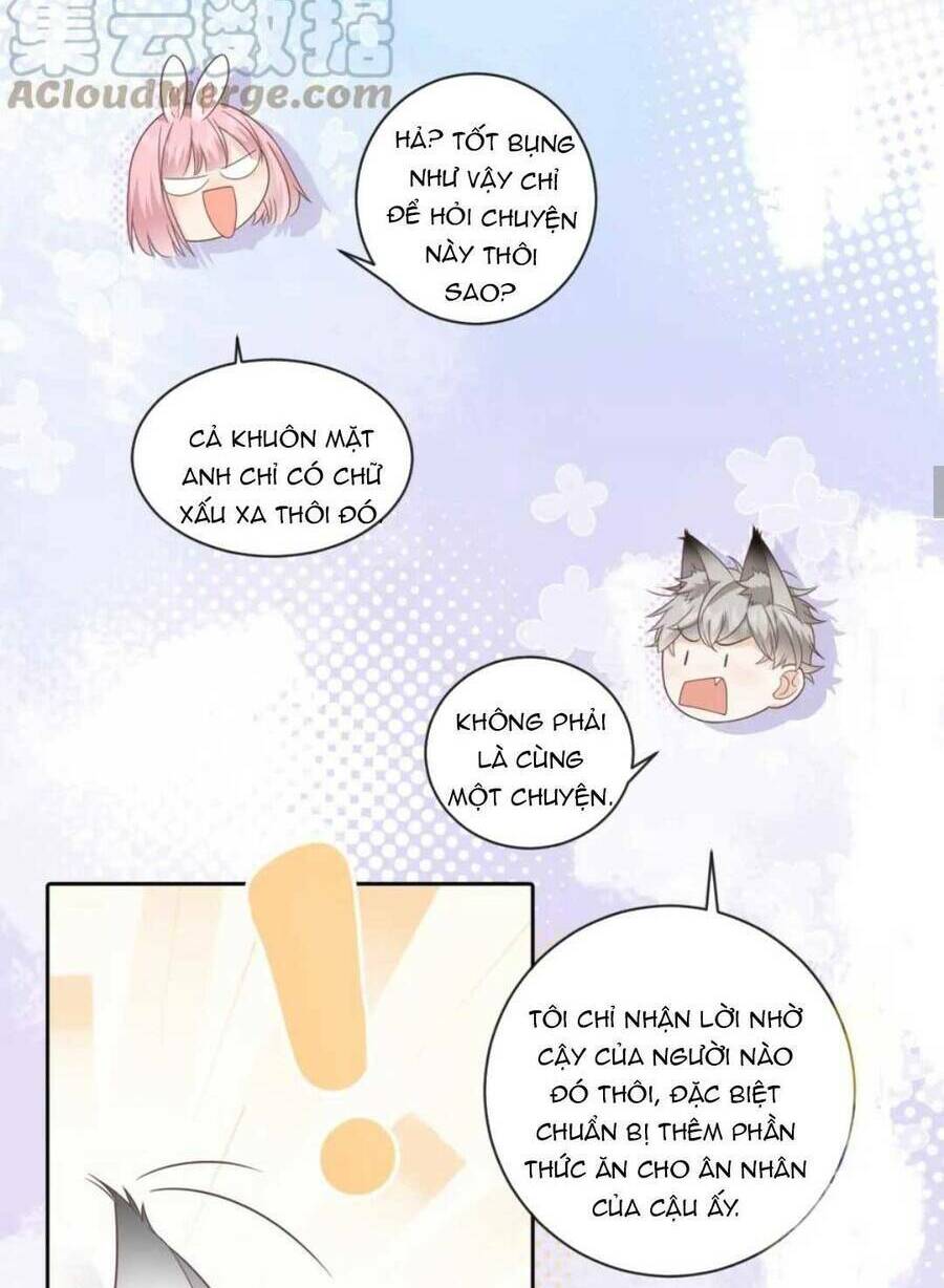 page_19.jpg