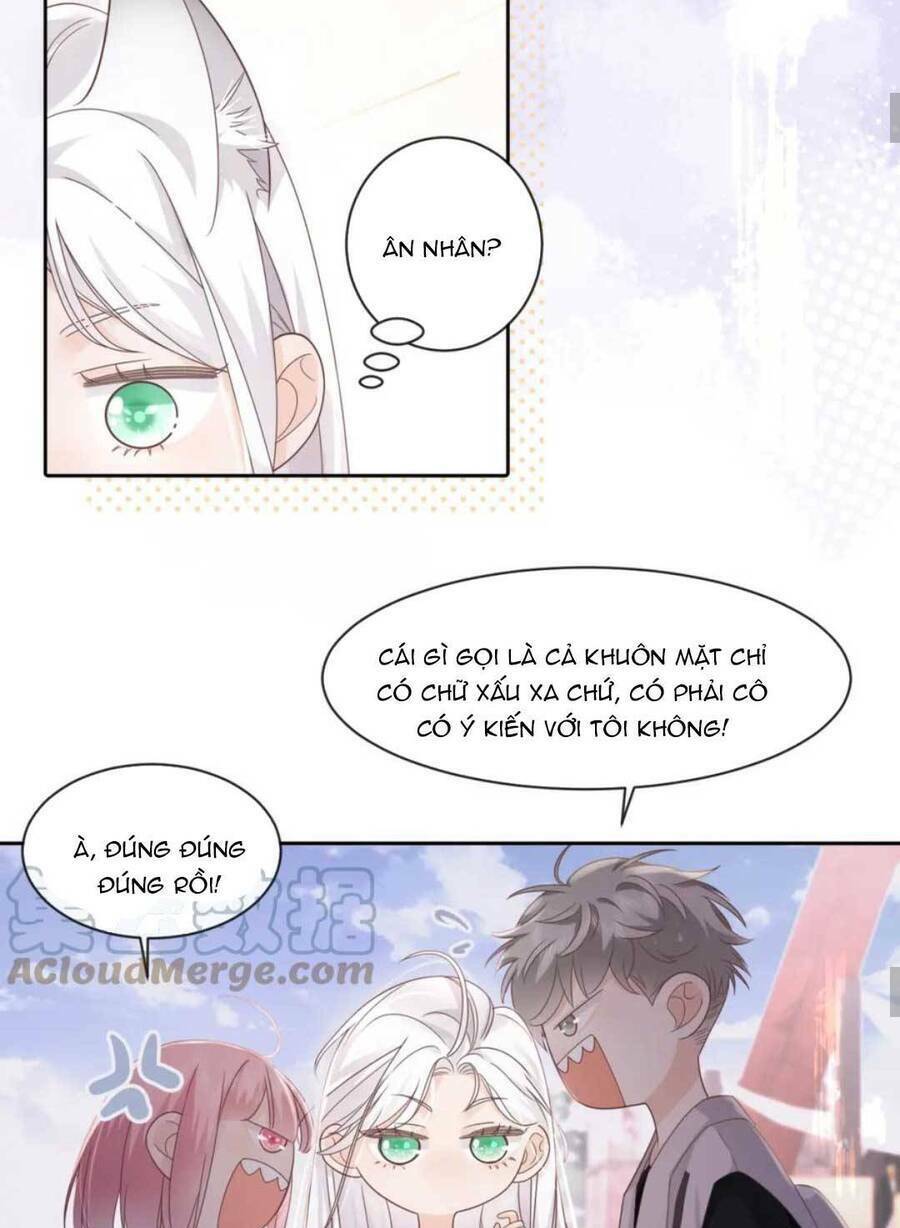 page_20.jpg