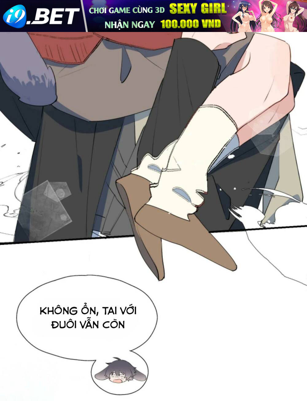 page_28.jpg