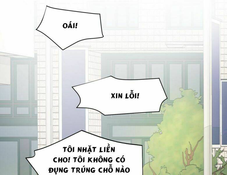 page_65.jpg